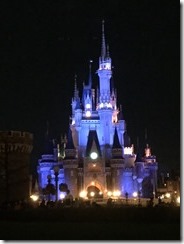IMG_0818 IMG_0818