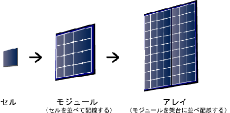 cell_m_a[1]