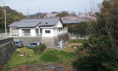 20130401_102514.jpg
