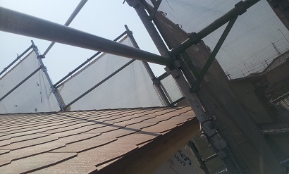 20130607_100605.jpg