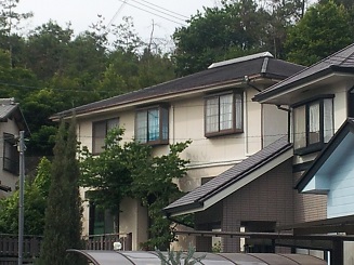 20140702_153145.jpg