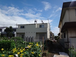 DSC01205.JPG